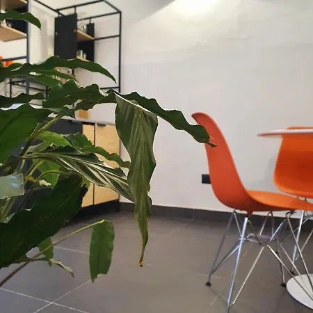 Appartamento La Casa Dell'artista Nel Centro Storico - *