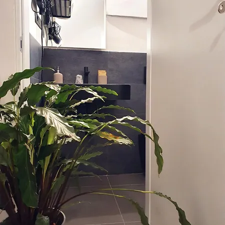 Apartment La Casa Dell'artista Nel Centro Storico - La Spezia